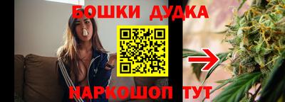 СК Пугачёв