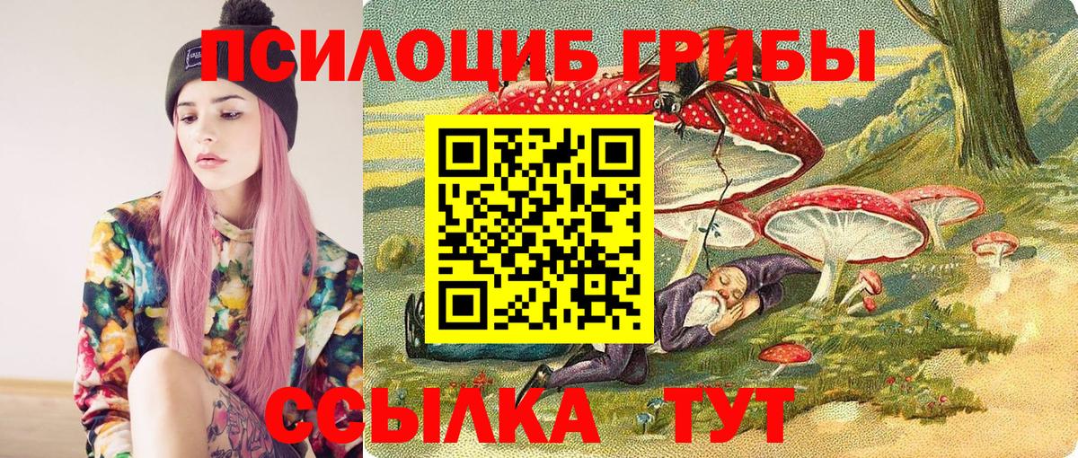 Псилоцибиновые грибы GOLDEN TEACHER Георгиевск