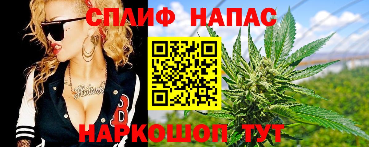 Бошки Шишки гибрид Георгиевск